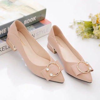 Spring and Autumn Pointed Toe Shallow Woman Pumps Low Heel Elegant Shoes for Women Korean Style High Quality Chic On Offer Shoe