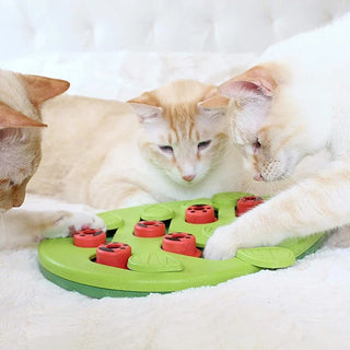 Rainy Day Interactive Cat Treat Puzzle