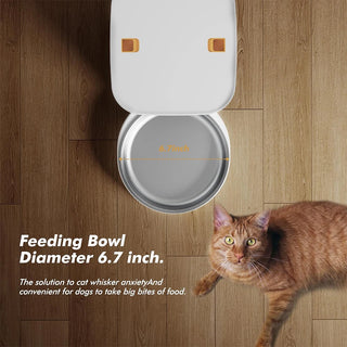 Automatic Large Capacity Pet Smart Feeder