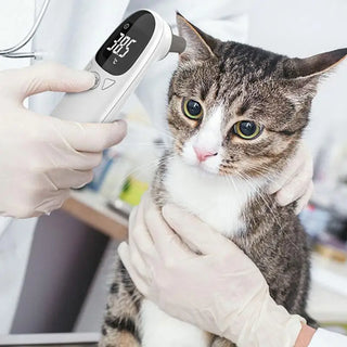 Pet Thermometers For Dogs Dog Tech Supplies Puppy Thermometers Fever Detection Device Pet Supplies High-Precision Clear Led