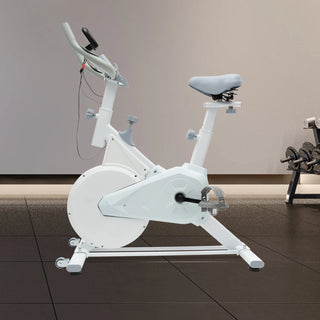 Indoor Fitness Bike White, 4kg Flywheel, Wool Pad Silent Braking, Adjustable Seat/Handle, LCD Display, 80kg Capacity