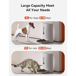Automatic Portion Control Pet Food Dispenser