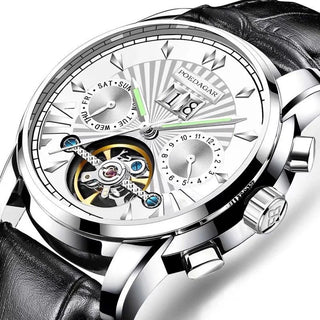 POEDAGAR Men Watch Top Brand Luxury Automatic Mechanical Watches Waterproof Luminous Business Stainless Stain Men's Wristwatch