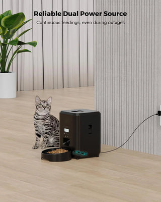 Timely Automatic Pet Feeder - Epictzar Intl.