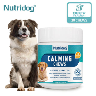 NUTRIDOG Calming Dogs Food for Maintain Healthy Stress Dog Chew Anxiety Relief Theanine&Chamomile Formula  Beef Flavor 30 Chews