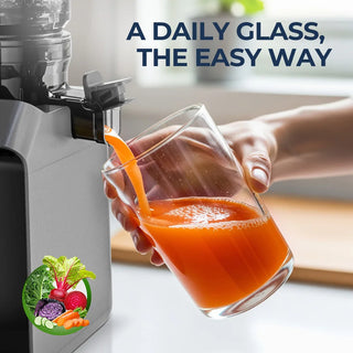 Slow Cold Press Filter-Free Juicer