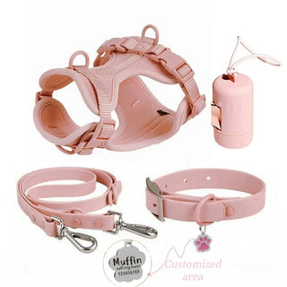 Personalized Pet Leash Pet Harness