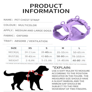Personalized Pet Leash Pet Harness