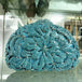 Sky blue 5