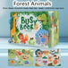 Forest Animals