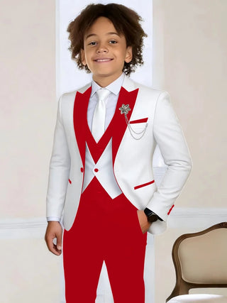 Handsome Wedding Ring Bearer Tuxedo Outfit