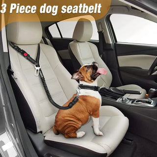 Heavy-Duty Adjustable Pet Restraint System