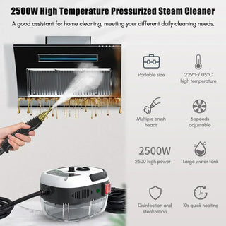 Sterilization Pressure Jet Steam Cleaner