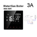 WiFi Water Gas Boiler