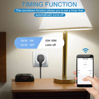 Smart Voice Control Plug in Socket