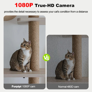 Pet Smart Voice Recorder Food Dispenser