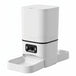 6L Video Feeder