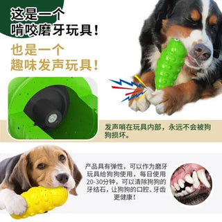 Squeaky Interactive Funny Chew Pet Toys