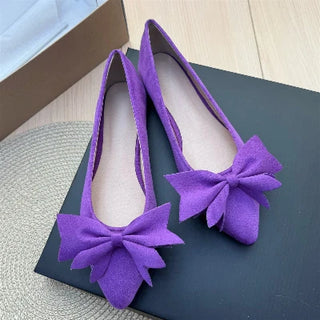 Ladies Pointed Toe Ballet Flat Shoes