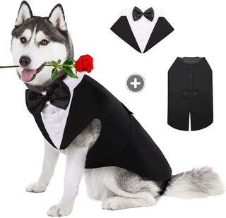 Fashion Show Party Formal Suit