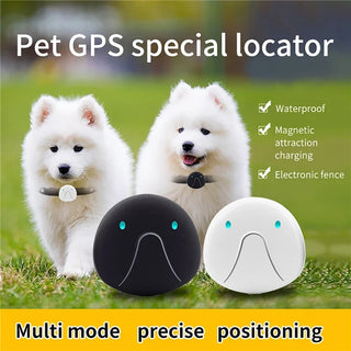 RC GPS Locator Pet Tracker