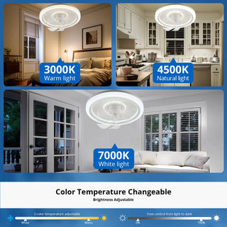 Modern App Controlled Ceiling Fan Lamp