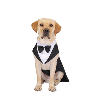 Fashion Show Party Formal Suit