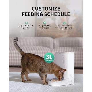 Automatic Schedule Pet Food Dispenser