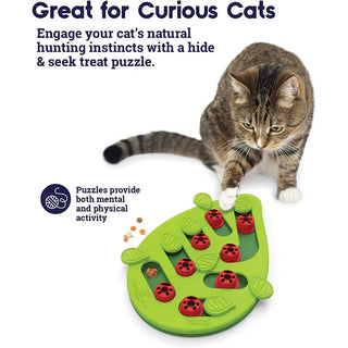 Rainy Day Interactive Cat Treat Puzzle