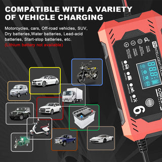 Smart Pulse Repair Battery Charger