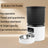 4L Button Feeder