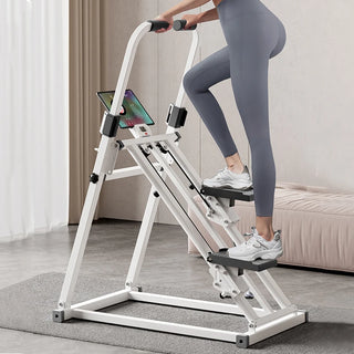 Vertical Aerobic Climbing Exercise Machine