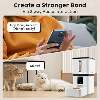 Automatic Easy Setup Pet Food Dispenser