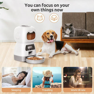 Automatic Smart Swirl Pet Feeder