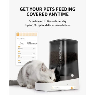 Automatic Schedule Pet Food Dispenser