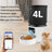 4L Camera Feeder