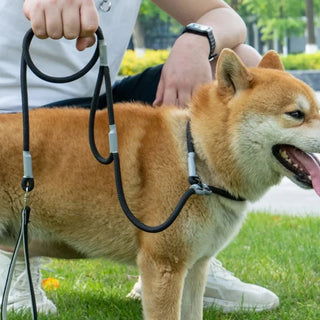 Slip Chains Pet Training Leash