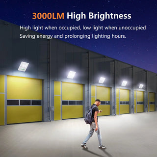Solar Remote Control Motion Sensor Floodlight