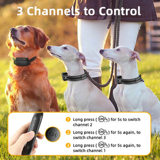Digital Electric Dog Training Collar