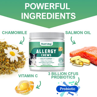 Allergy & Immune Support Chews for Dogs -  Salmon Flavor Soft Chews Dog Allergy Relief, Skin Health, Coat Defense-120 soft chews