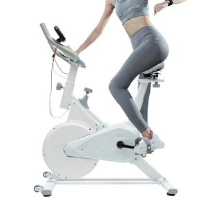 Indoor Fitness Bike White, 4kg Flywheel, Wool Pad Silent Braking, Adjustable Seat/Handle, LCD Display, 80kg Capacity