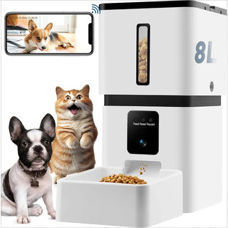 Automatic Easy Setup Pet Food Dispenser