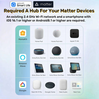 Smart Wireless Voice Control Mini Socket