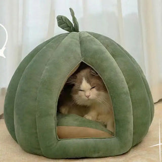Enclosed Pumpkin Deep Sleep Pet House