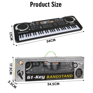 Beginner Musical Instrument Education Toys Gift
