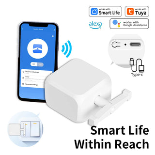 RC Voice Assistant Adjustable Switch