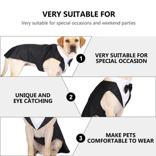 Fashion Show Party Formal Suit