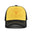 As shown 1