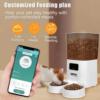 Dual Bowls Smart Pet Feeder