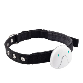 RC GPS Locator Pet Tracker